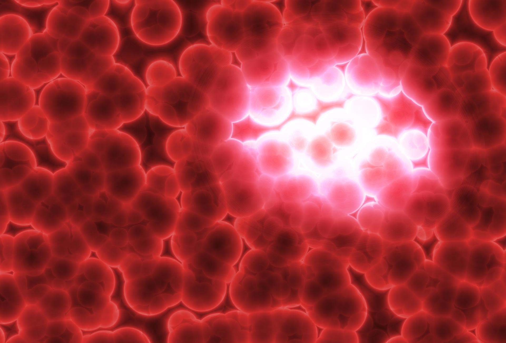 The Latest Information on Antioxidants and Free Radicals