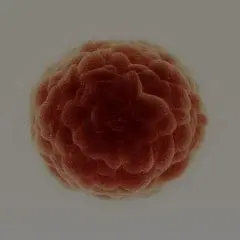 Inflammation